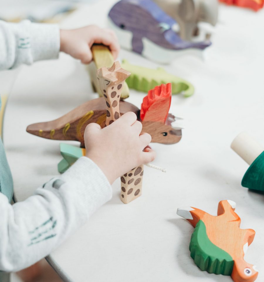 Wooden Animals on table